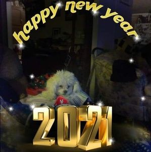 Meet your Posher, Roberta